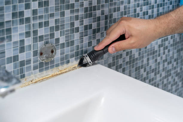 Best Residential Mold Remediation in Colon, MI